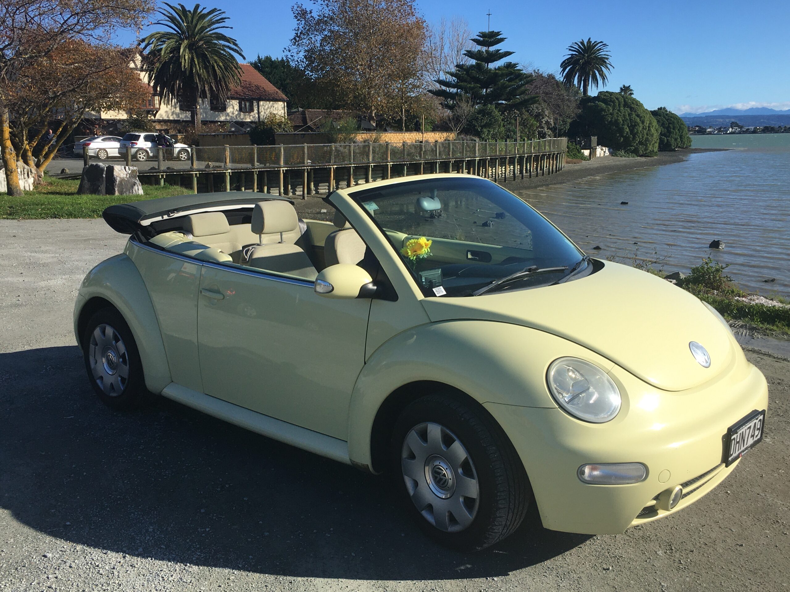 Beetle car store